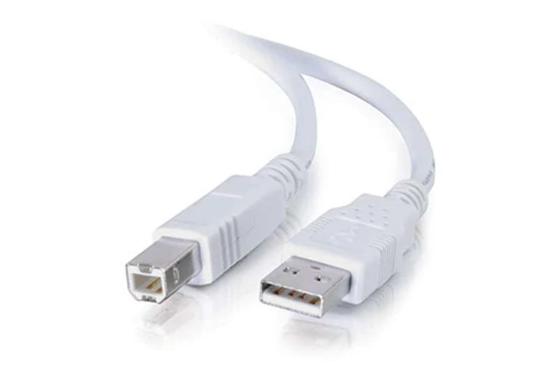 Cables To Go 6.6ft (2m) USB 2.0 A/B Cable - White