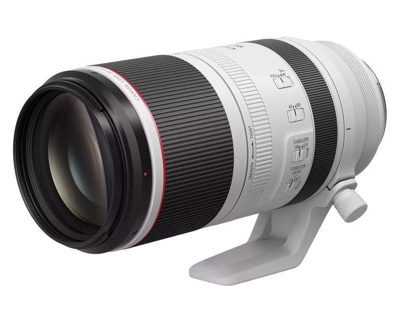 Canon RF100-500mm F4.5-7.1 L IS USM Lens - Image 4