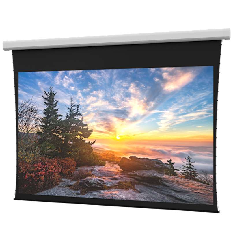Da-Lite Myriad Reveal Screen, 120" x 192"  with HD Progressive 1.0 Material