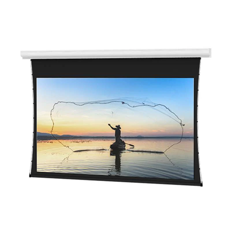 Da-Lite Tensioned Designer Contour Electrol, 50" x 80" with Da-Mat
