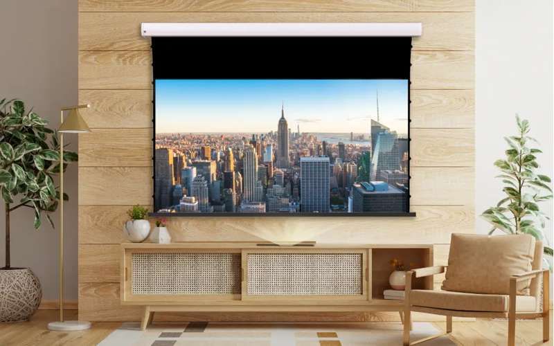 Screen Innovations Short Throw Motorized External Mount Screen, 49'' x 87.2'' with Short Throw Material - Image 2