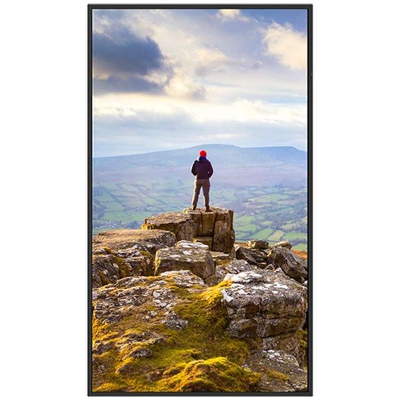 Sharp PN-E559 55" Ultra High Definition Commercial Display - Image 4