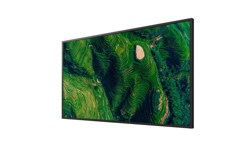 Sony BRAVIA 43" 4K HDR Enhanced Professional Display (FW43BZ35P) - Image 10