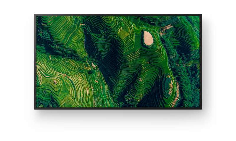 Sony BRAVIA 65" 4K HDR Enhanced Professional Display (FW65BZ35P)